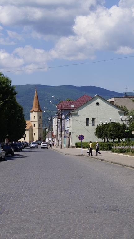 Villa Svalyavа Svalyava Luaran gambar