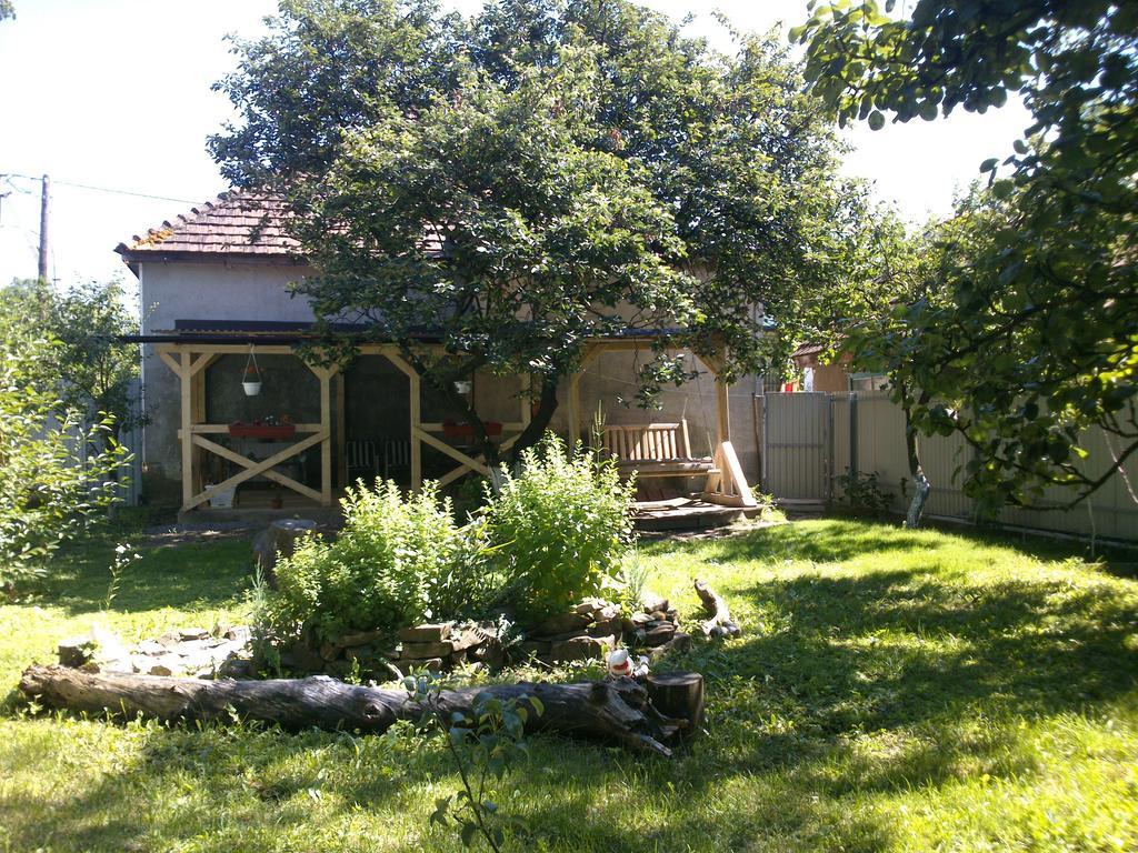 Villa Svalyavа Svalyava Luaran gambar