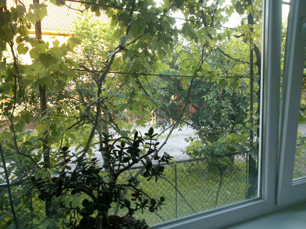 Villa Svalyavа Svalyava Luaran gambar