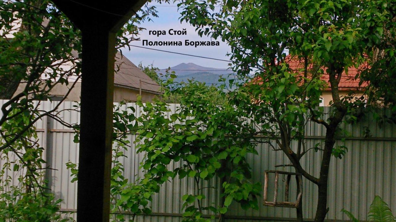 Villa Svalyavа Svalyava Luaran gambar